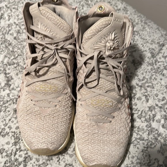 Lebron shoes